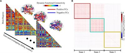 Tracking the Main States of Dynamic Functional Connectivity in Resting State